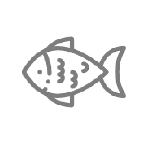 fish icon